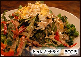 チョレギサラダ 500円 チョレギサラダ 500円